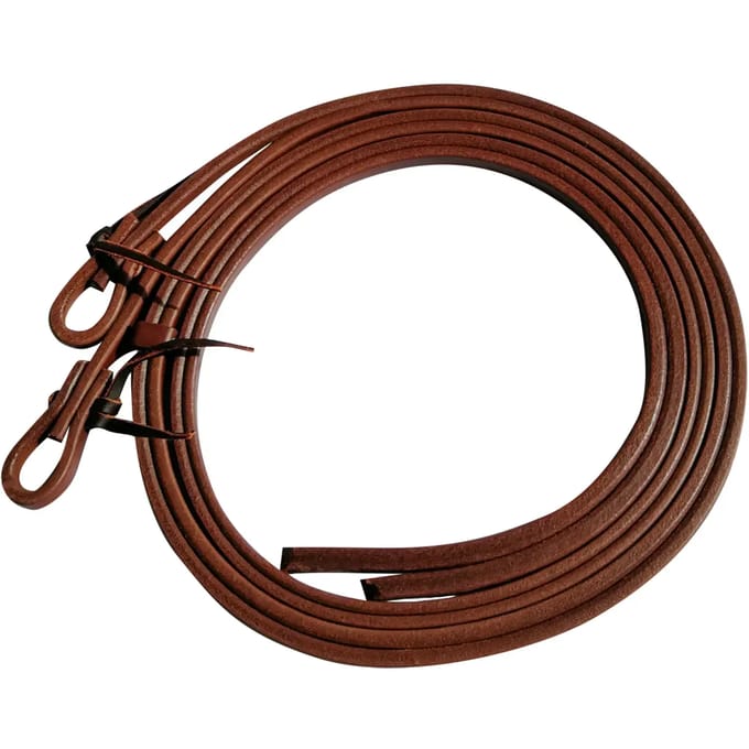 Western teugels voor paard van leer Professional's Choice