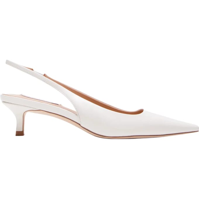 Damesschoenen Steve Madden Kari