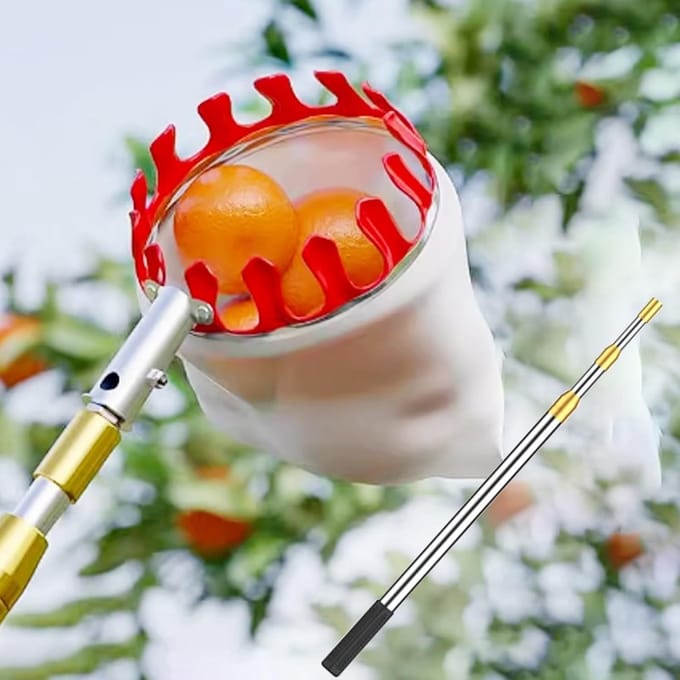 Fruitplukker - Fruitplukstok mand - Fruit oogsten - Telescopische steel - 5 meter - Zilver