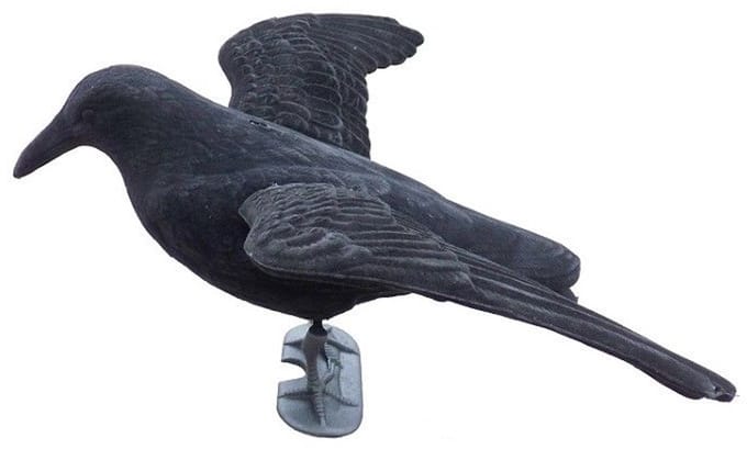Ketrop Gevleugelde nepkraai vogelverjager
