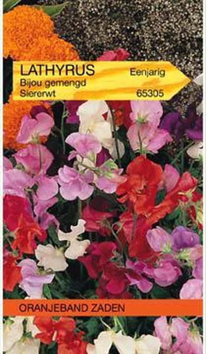 Lathyrus, Reuk- of siererwt Bijou gemengd