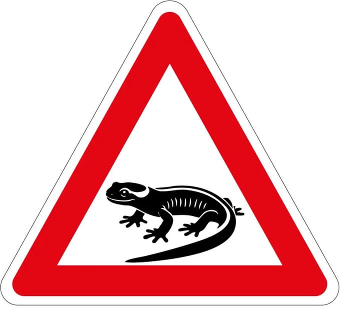 Pas op overstekende salamanders sticker | 10 cm