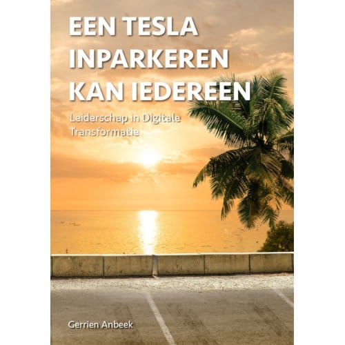 Een Tesla Inparkeren Kan Iedereen - Gerrien Anbeek