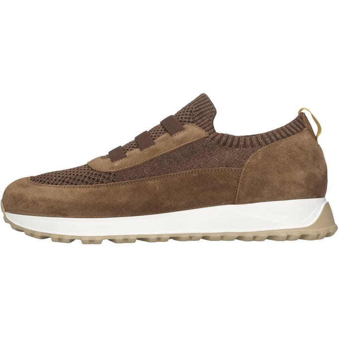 Doucal's Sneakers bruin