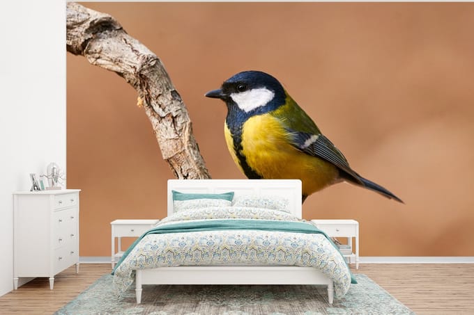 Behang - Fotobehang Vogel - Koolmees - Takken - Breedte 295 cm x hoogte 220 cm