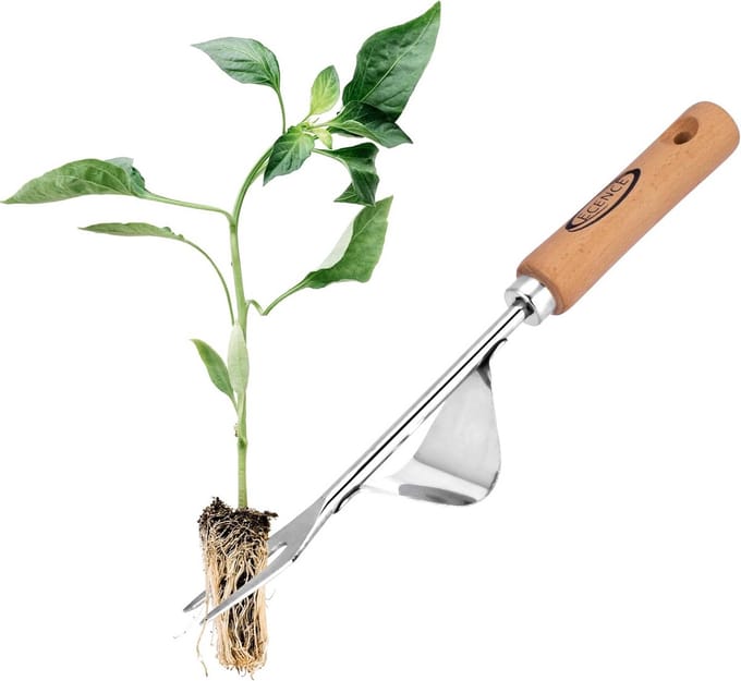 RVS Onkruid- en Wortelsteker met Houten Handgreep