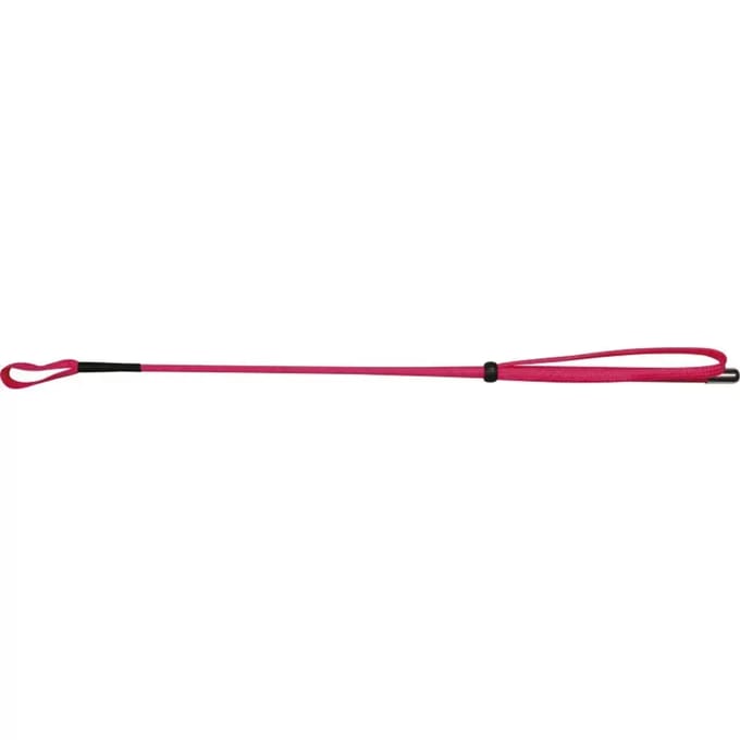 Paardrij zweep Whip & Go