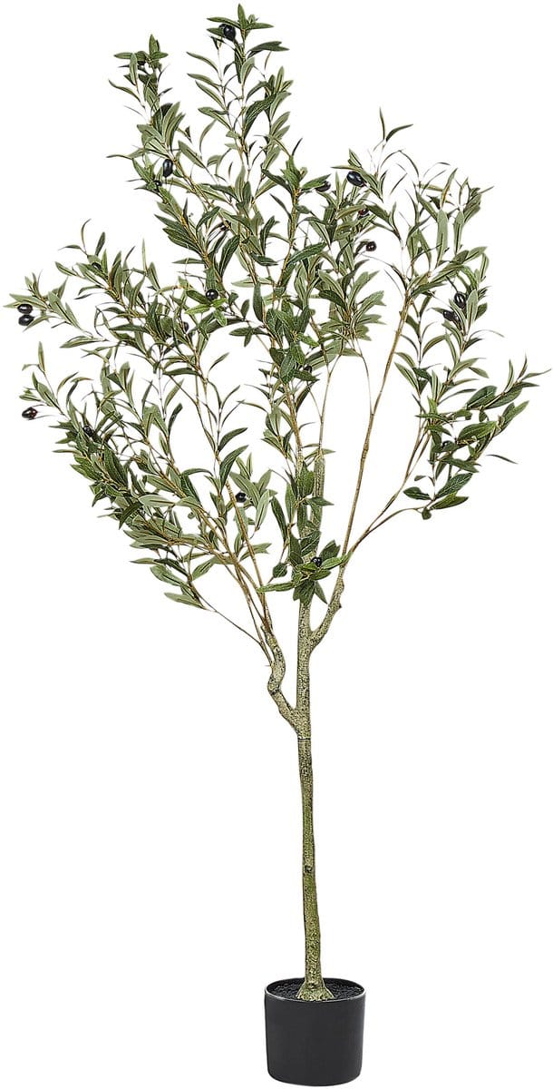 OLIVE TREE - Kunstplant - Groen - 153 cm - Synthetisch