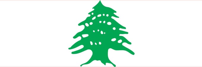 Vlag Libanon 50x75cm