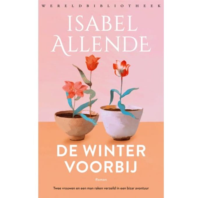 De Winter Voorbij - Isabel Allende