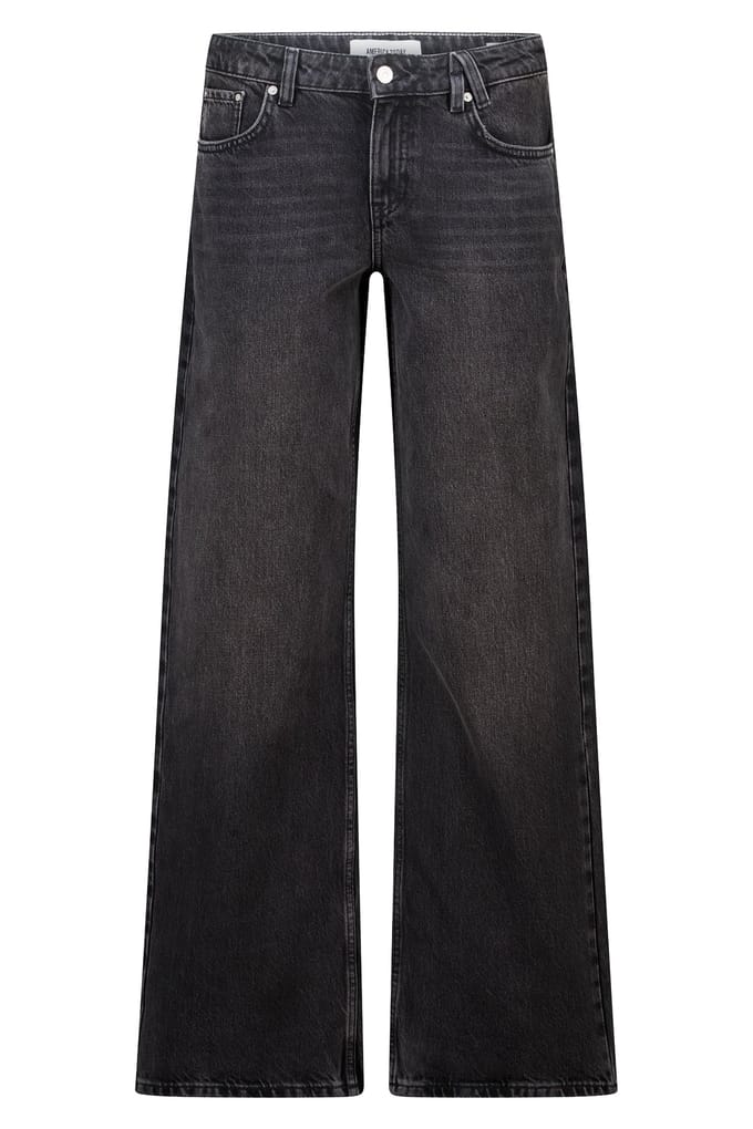America Today Austin Zg Washed Grey Größe: W31L32 | Ausgestellte Hosen Outlet | Damen | Grau