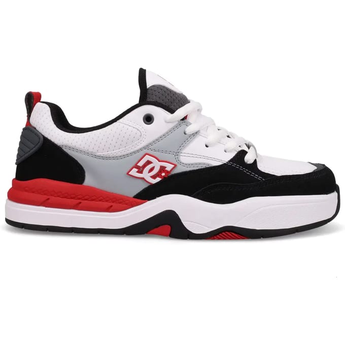 Trainers DC Shoes Ascend