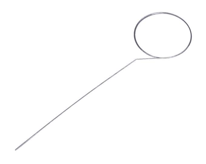 Cleaning needle