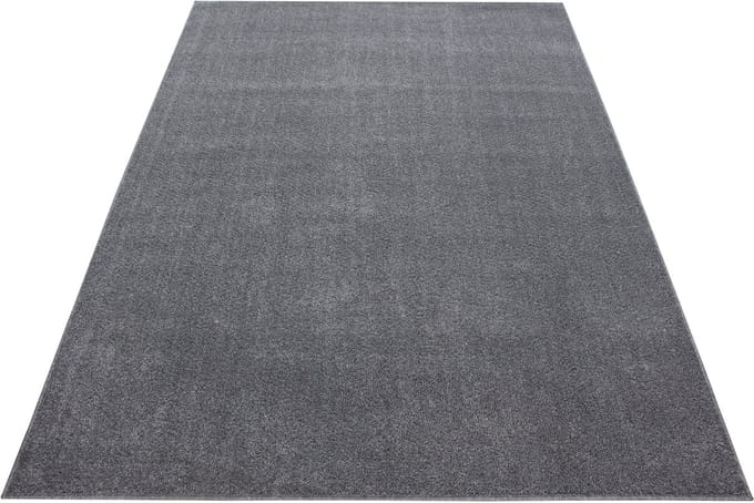 Laagpolig vloerkleed Ata - lichtgrijs - 120x170 cm