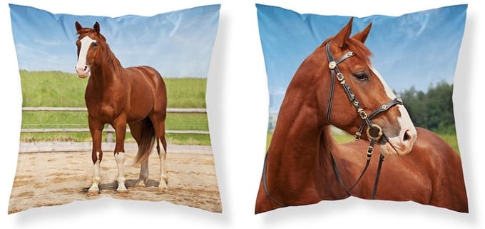Paard sierkussensloop 40x40cm Zonder vulling Paard kussensloop