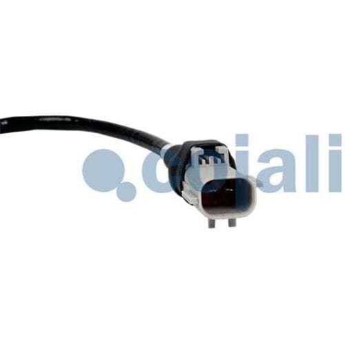 Uitlaatgastemperatuursensor COJALI 2262006COJ