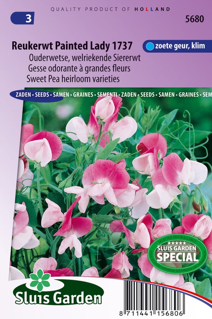 Sluis Garden - Reukerwt Painted lady 1937 (Lathyrus)