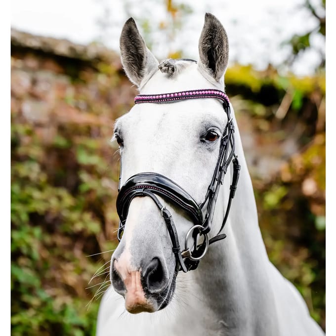 Hoofdstel Horseware Diamante Flash
