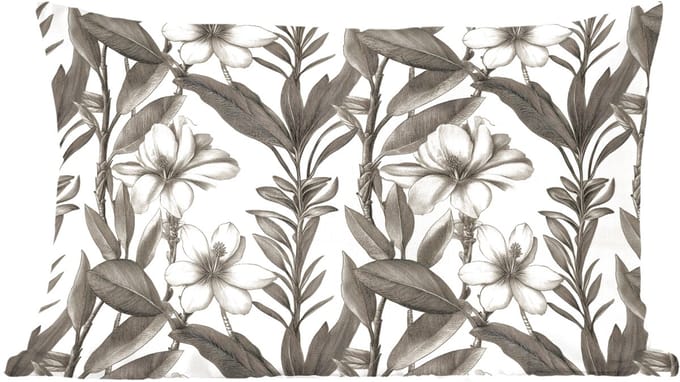Sierkussens - Kussentjes Woonkamer - 60x40 cm - Klassiek - Botanisch - Zwart - Beige