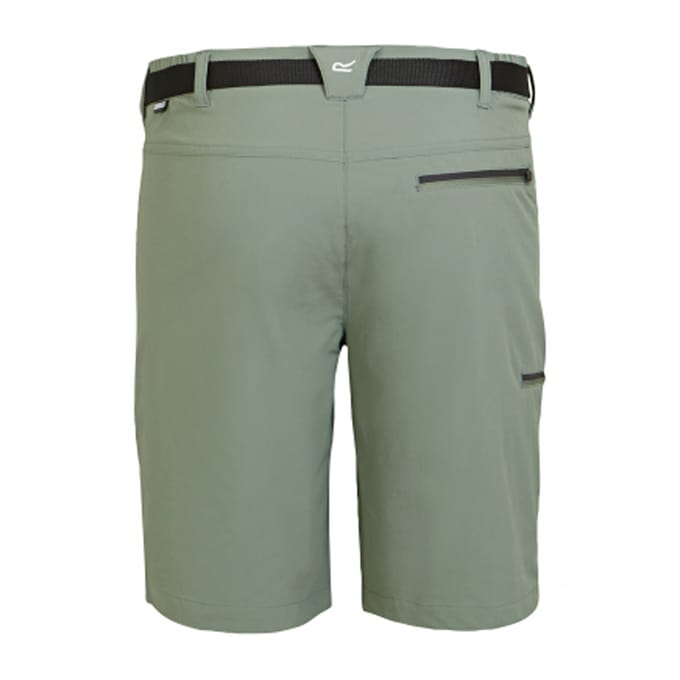 Regatta Heren Xert III Stretch Shorts (Agave Groen)