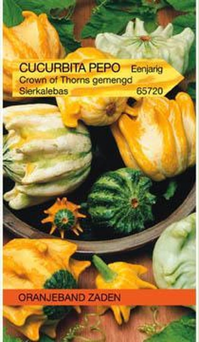 Oranjebandzaden -  Cucurbita, Sierkalebas Crowns Of Thorns gemengd