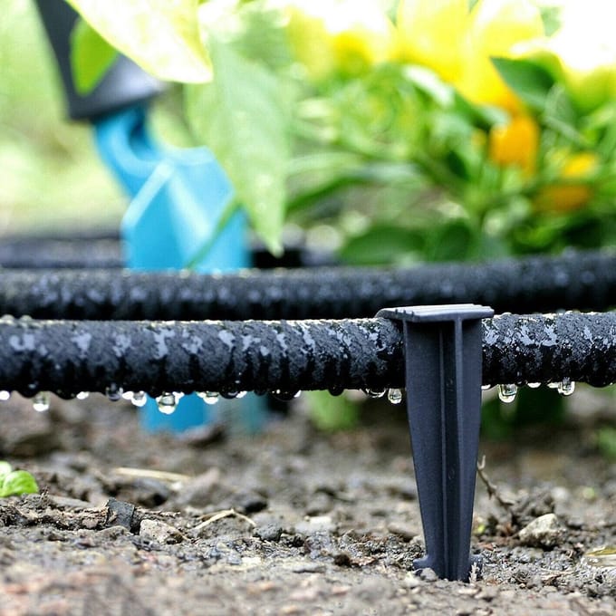 Druppelslang 50 meter 1/2 inch voor Tuinirrigatie