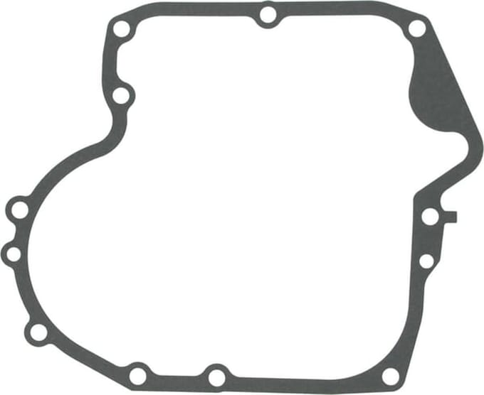 Briggs & stratton carterpakking