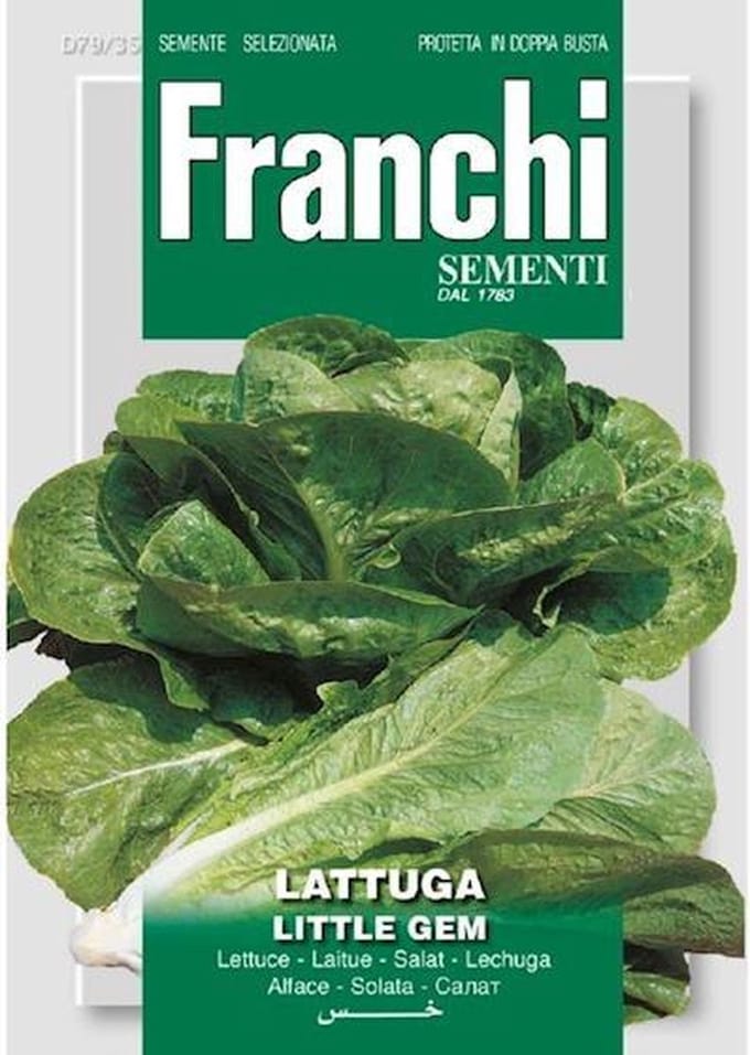 Fr Sla, Lattuga little gem 79/38