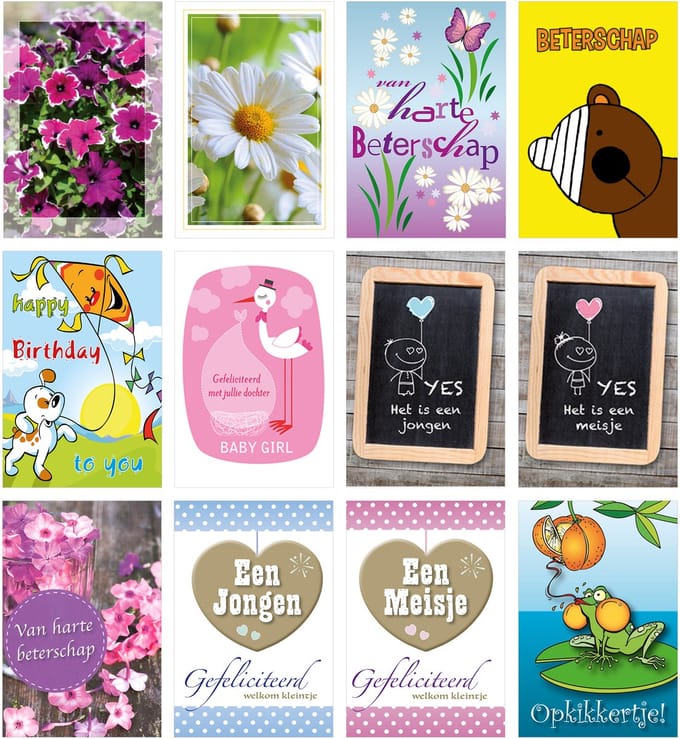 MGPcards - 12 dubbele wenskaarten met envelop - Beterschap - Geboorte - Zonder Tekst - Bloemen - 11,5 x 17 cm