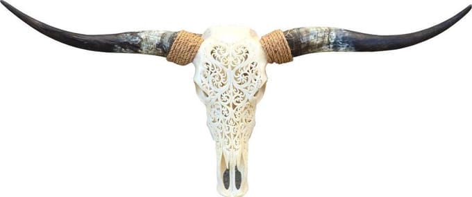 Longhorn skull gegraveerd wit