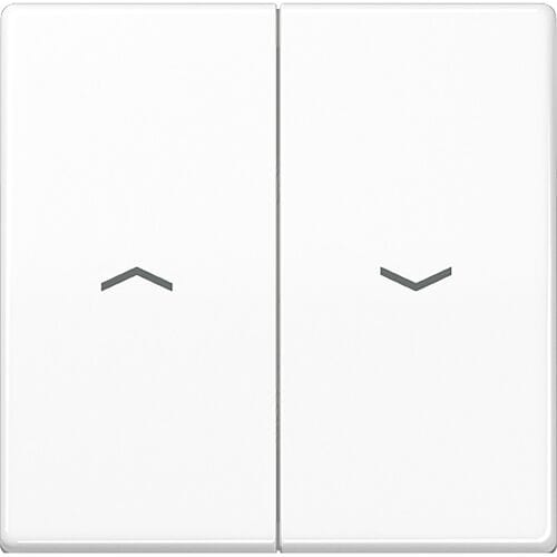 Jung AS500 Schakelelement/Centrale Plaat - AS591-5PWW - E32R4