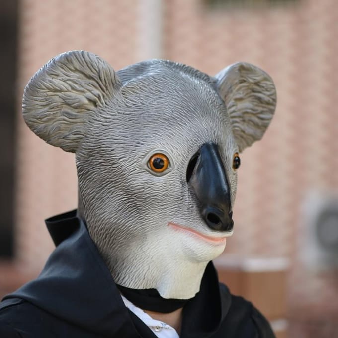 Koala hoofddeksel grappig dierenmasker One size fits all adults grijs