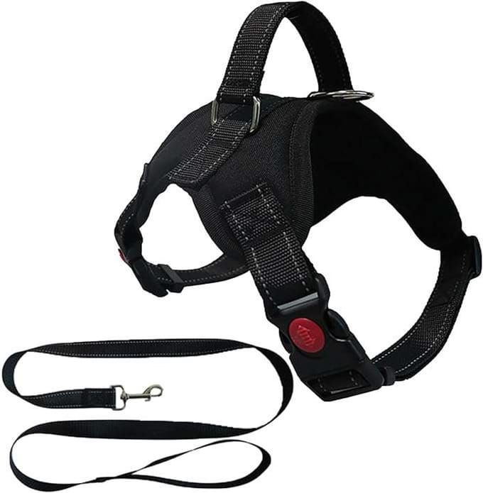 CE - Hondentuigje - Comfortabel - Ademend - Zwart