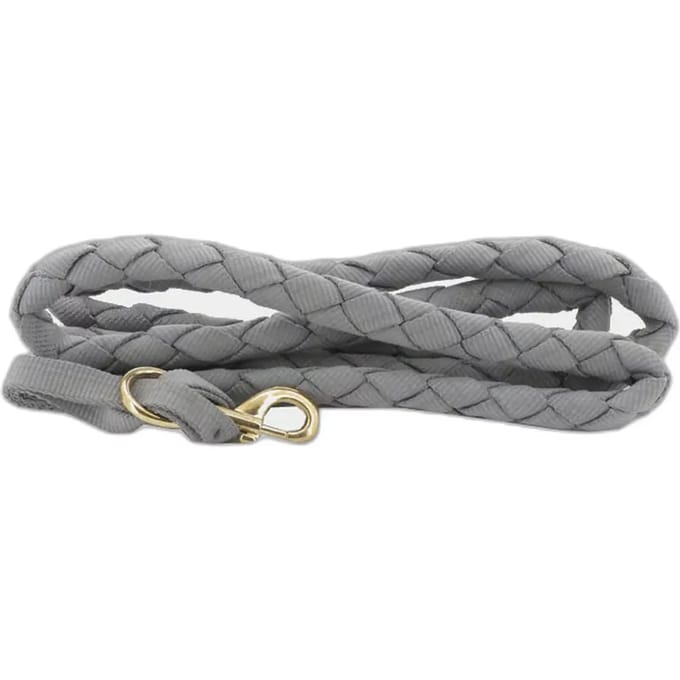 Amerikaans paard lanyard Norton