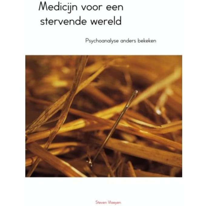 Titel Onbekend, Hergebruiken - Steven Vlaeyen