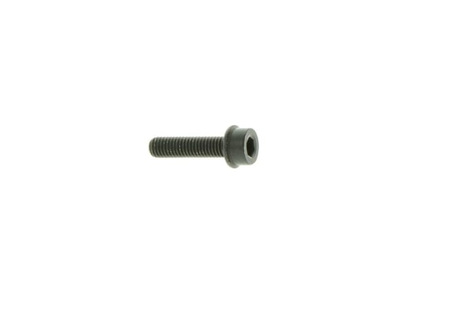 Screw