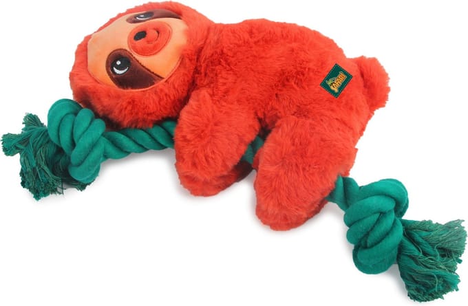 AFP Safari - Rope Cuddle Sloth