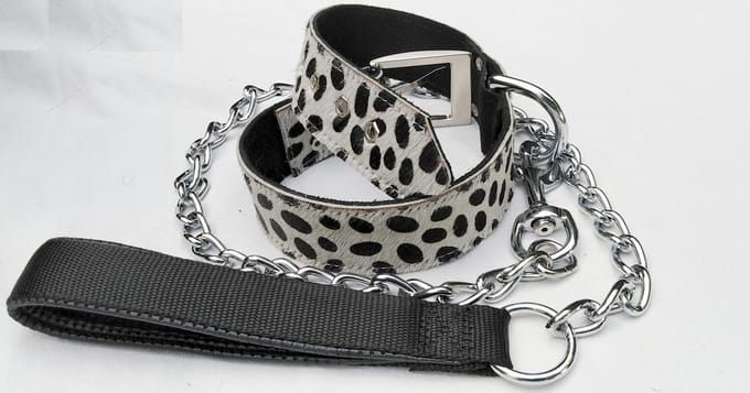 Speciale set van halsband en riem van koeienhuid