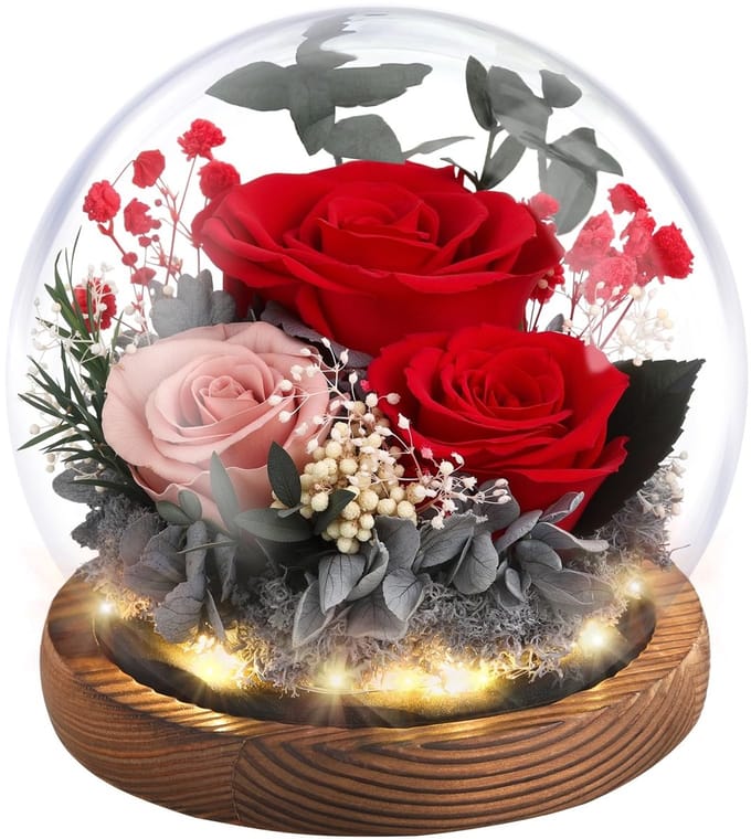 Dailygoods - Eeuwige Roos in Glazen Dome met LED Licht