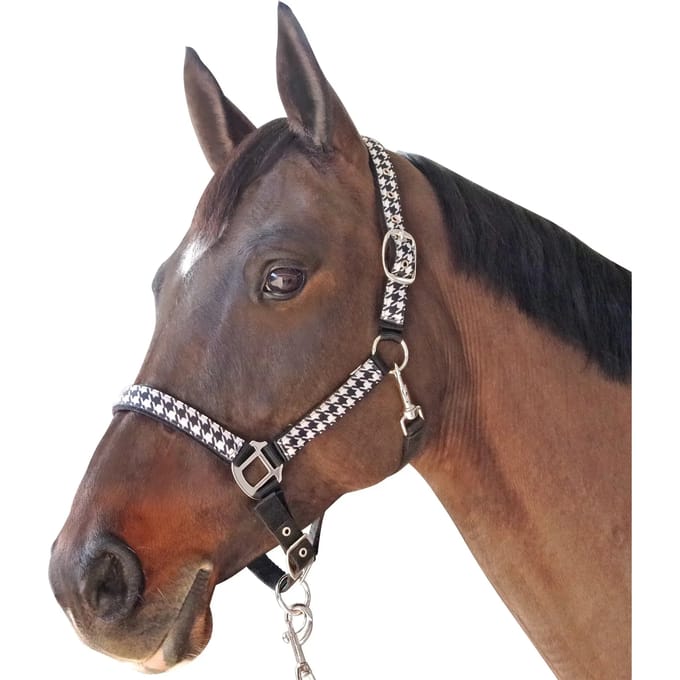 Halster en touwset voor paarden Canter Pied De Poule