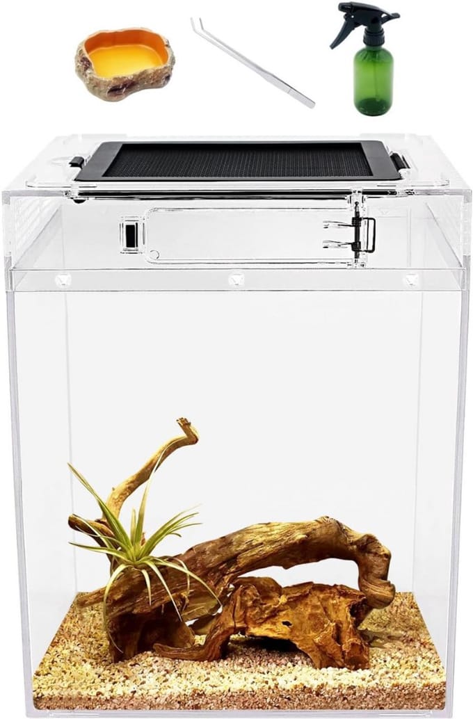 Terrarium - Ecosysteem - Reptielenverblijf - Transparant