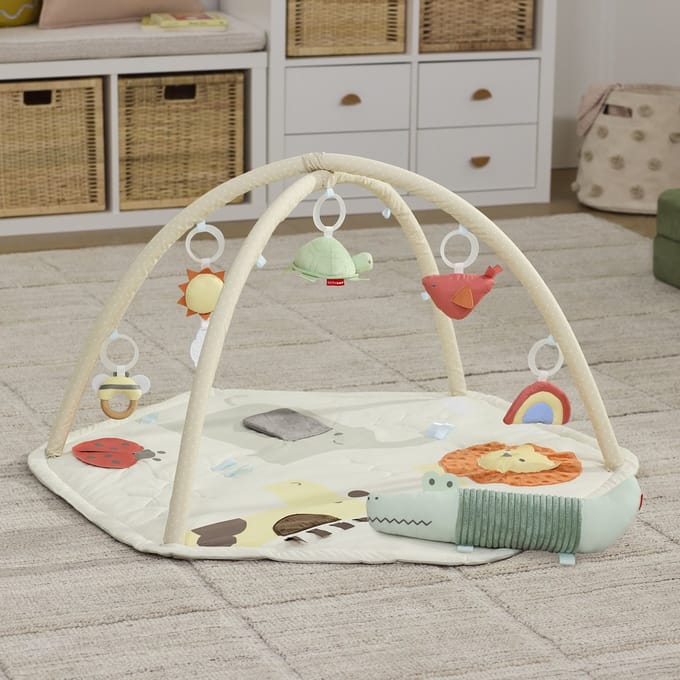 Skip Hop Geometric Wonders Babygym
