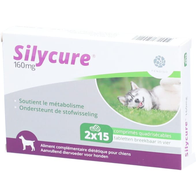 Silycure® 160 mg 2x15 Tabletten
