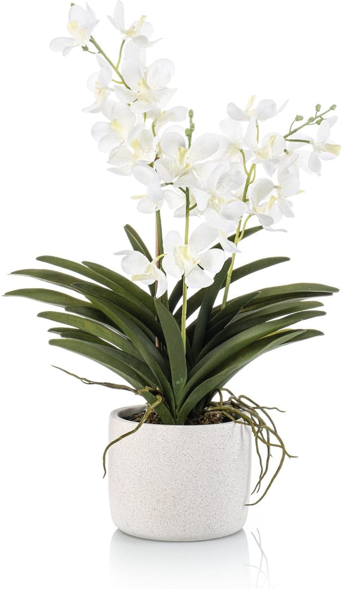 Emerald - Kunstplant Vanda in pot 60cm wit - Kunstplant voor binnen