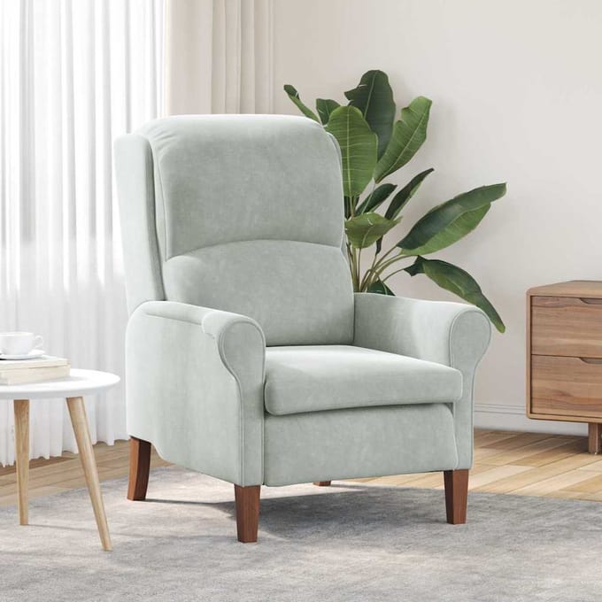 vidaXL - Fauteuil - Lichtgrijs - Fluweel