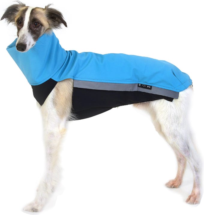 Hondenjas van Softshell - Aqua - Softshell body - Windhond - Ridgeback - Rapid Dog Wear - Maat XXL