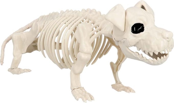 Boland - Decoratie Skelet hond - Horror - Horror