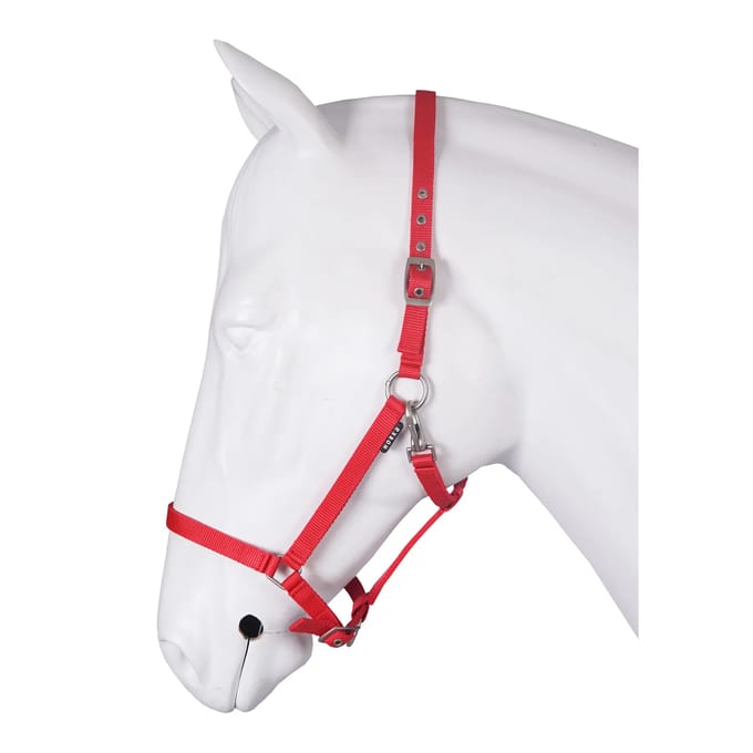 Halsband voor paard basis HORKA