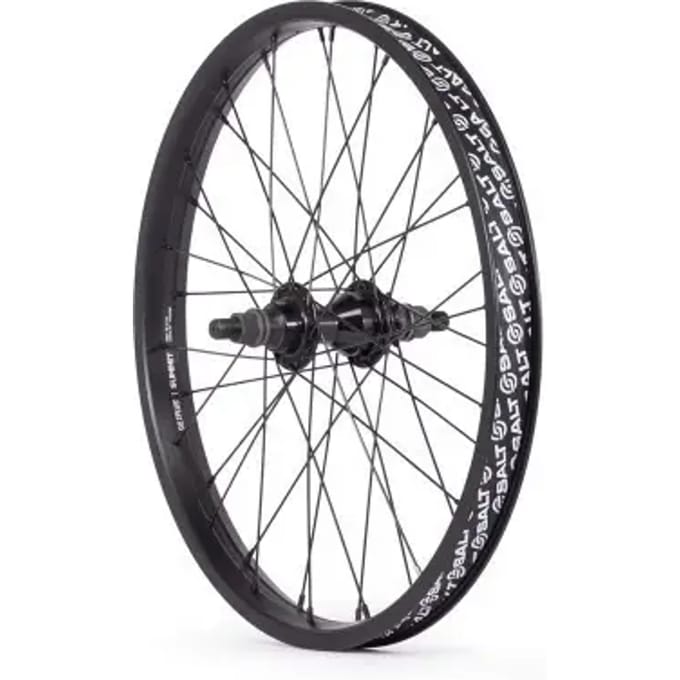 Achterwiel Salt Everest RSD