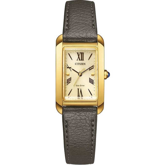 Citizen L EW5622-09P Horloge - Leer - Grijs - Ø 22 mm